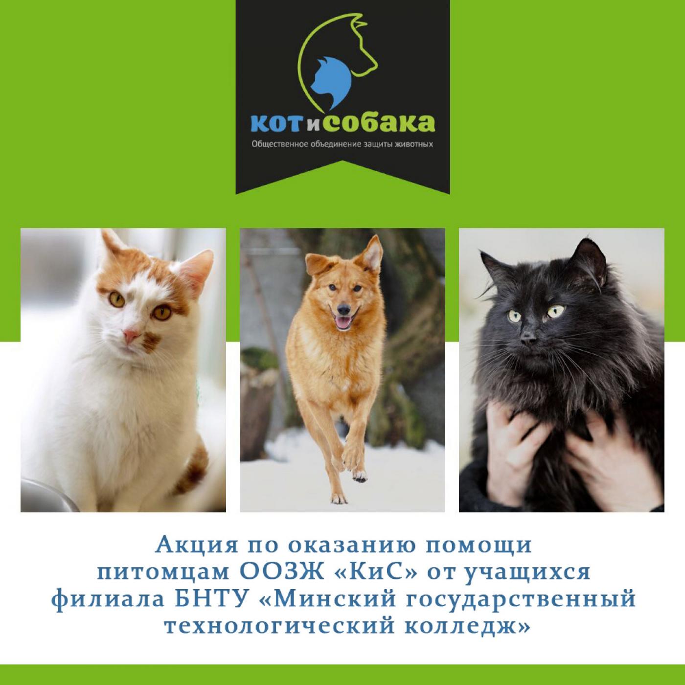 В жизни всегда есть место добру